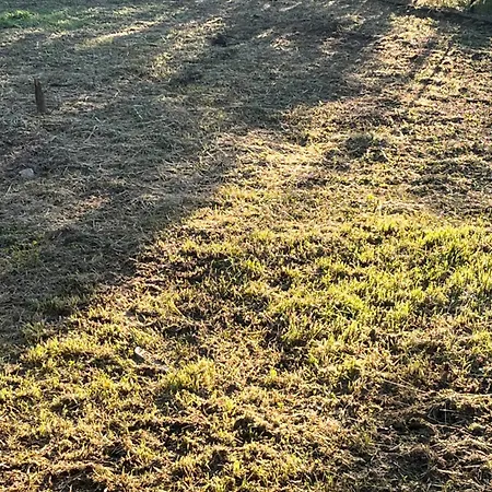 Prázdninový dům Relaxhome *